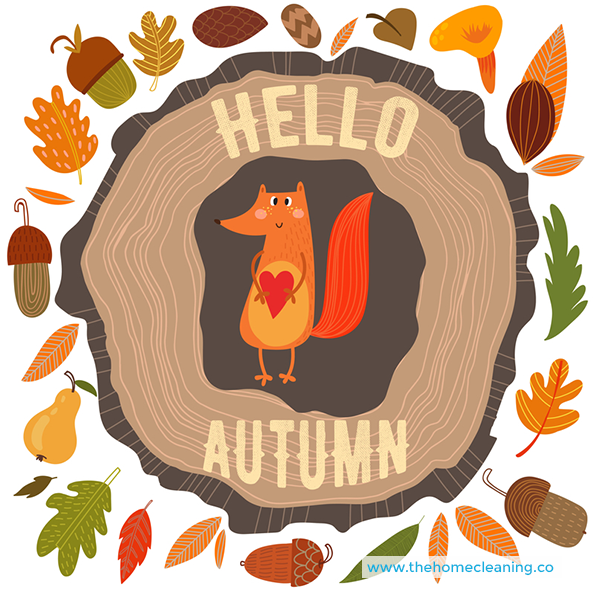 Hello Autumn – Time to Spring Clean?
