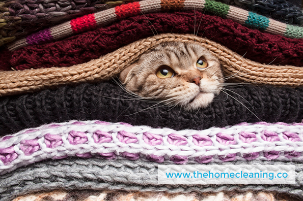 A few tips for keeping pet hair under control